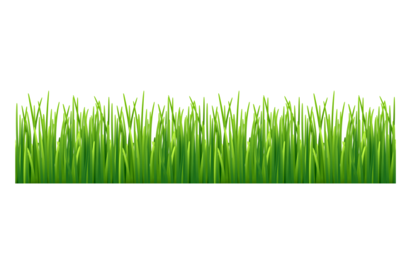 Download Grass Seamless Border. Green Lawn. Natur - Premium Resources