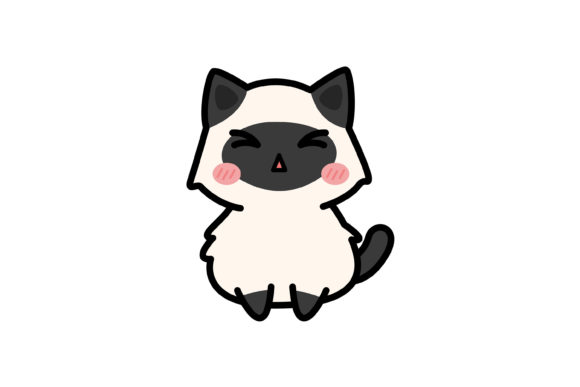 Download Glare Expression Tonkinese Cat - Glare Collection